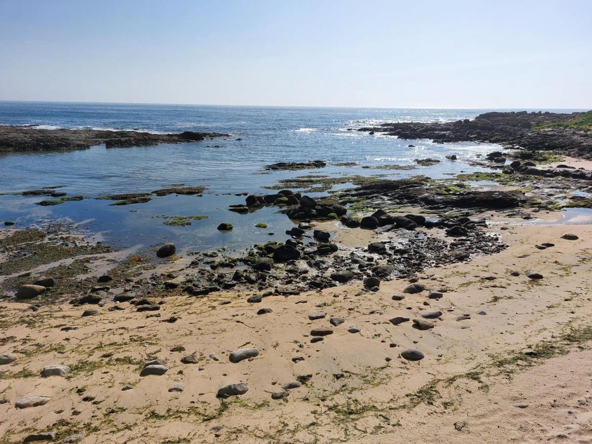 Sea & City Leça da Palmeira Zewnętrze zdjęcie